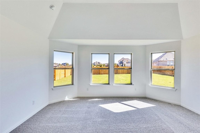 607 Breeze Hollow Ln, Georgetown, TX 78628 - carpeted empty room with healthy amount of natural light and high vaulted ceiling