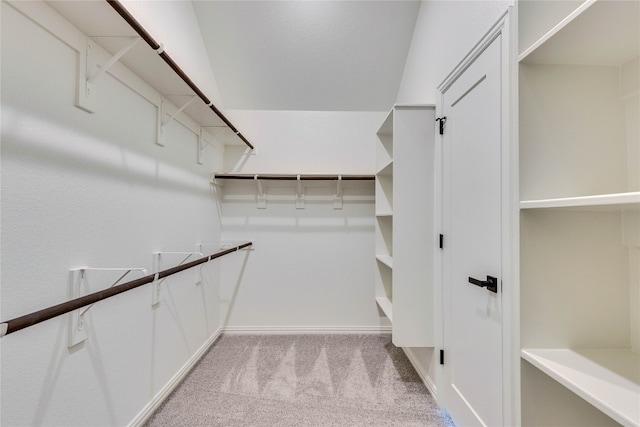 spacious closet with light colored carpet