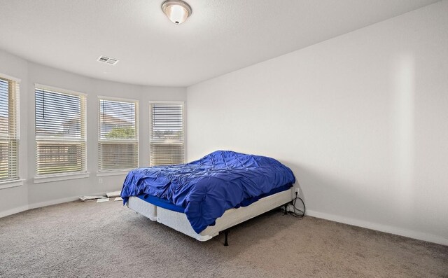 bedroom with carpet floors