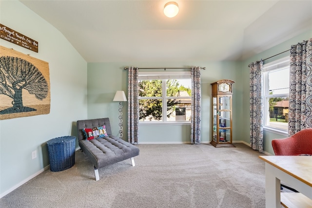 sitting room with carpet floors