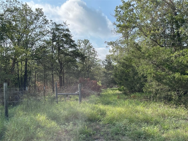 1600 Sandy Creek Rd, Red Rock TX, 78616 land for sale