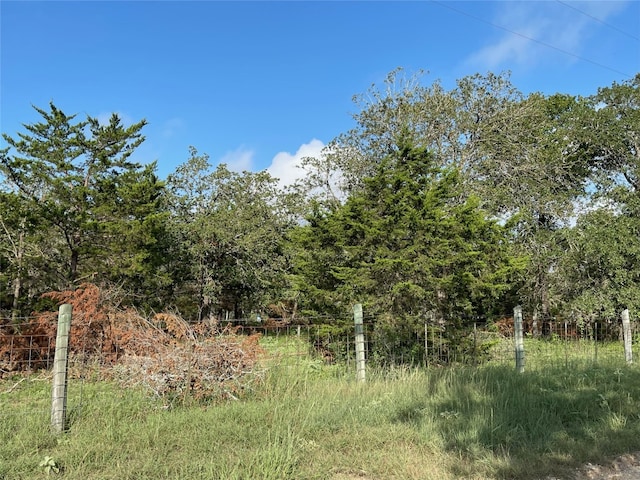 Listing photo 3 for 1600 Sandy Creek Rd, Red Rock TX 78616