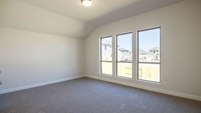 additional living space featuring vaulted ceiling and carpet floors