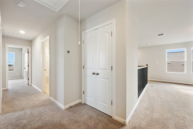 hallway featuring a wealth of natural light and light carpet