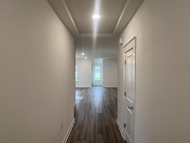 hall featuring a tray ceiling and dark wood-type flooring