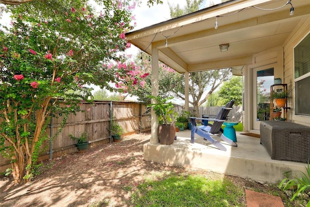 view of yard featuring a patio