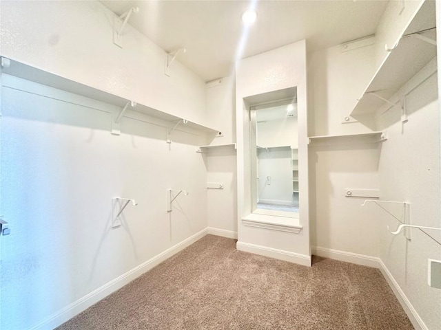 walk in closet featuring carpet floors