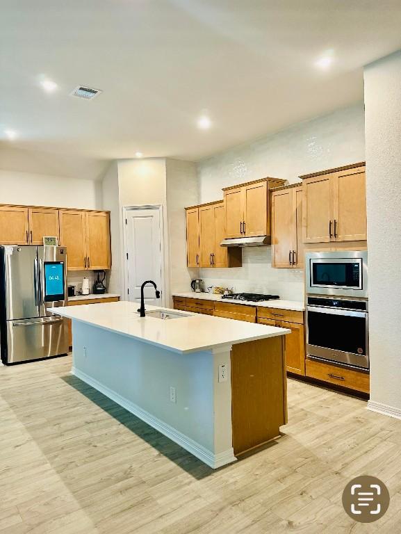 kitchen with sink, tasteful backsplash, light hardwood / wood-style flooring, stainless steel appliances, and a kitchen island with sink