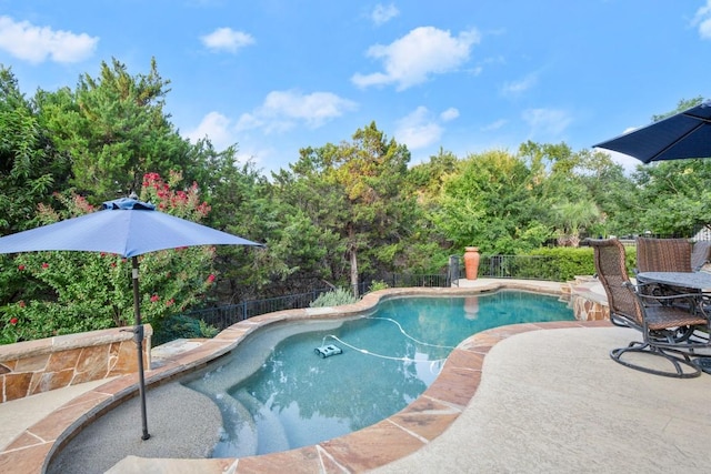 view of swimming pool featuring a fenced in pool, a patio area, and fence