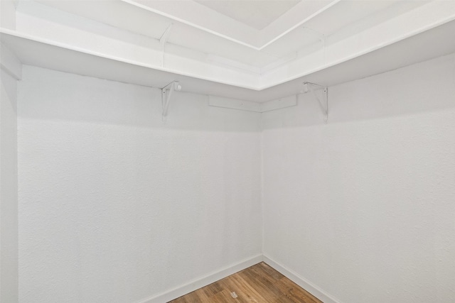 walk in closet with wood-type flooring