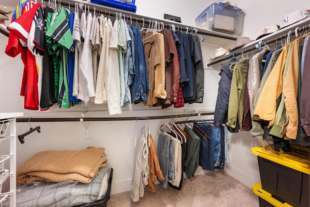 spacious closet featuring carpet