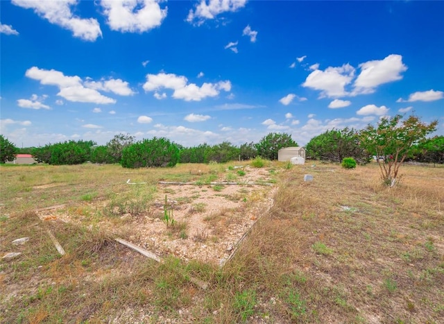 303 Autumn Ridge Cv, Liberty Hill, TX 78642 - photo 5
