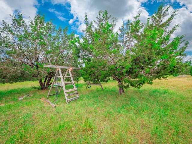 303 Autumn Ridge Cv, Liberty Hill, TX 78642 - photo 8