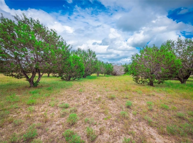 303 Autumn Ridge Cv, Liberty Hill, TX 78642 - photo 9