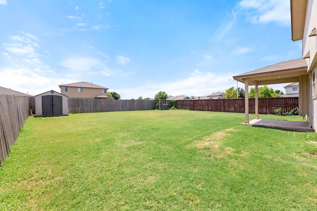 view of yard with a shed