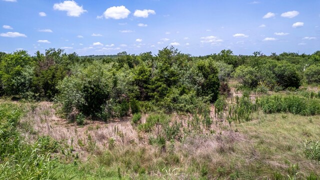 11908 US Highway 183 S, Mustang Ridge, TX 78610 - photo 8