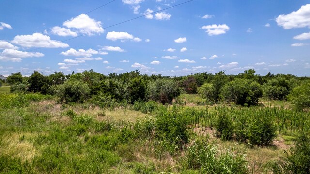 11908 US Highway 183 S, Mustang Ridge, TX 78610 - photo 15