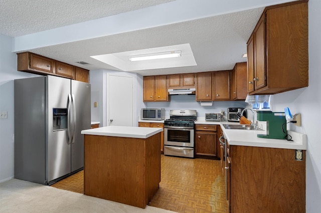 kitchen featuring a textured ceiling, sink, a kitchen island, ventilation hood, and stainless steel appliances