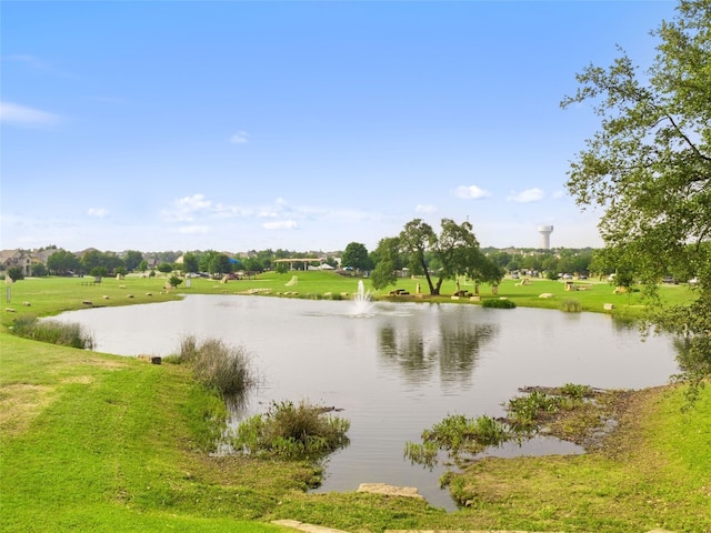 3417 Flat Iron Ct, Leander, TX 78641 - water view