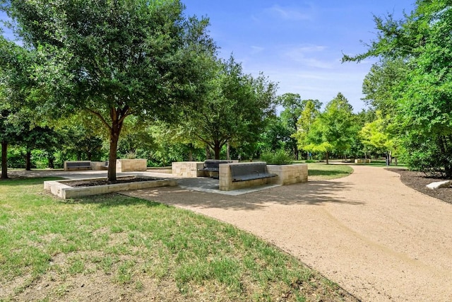 1900 Barton Springs Rd Unit 2046, Austin, TX 78704 - photo 21