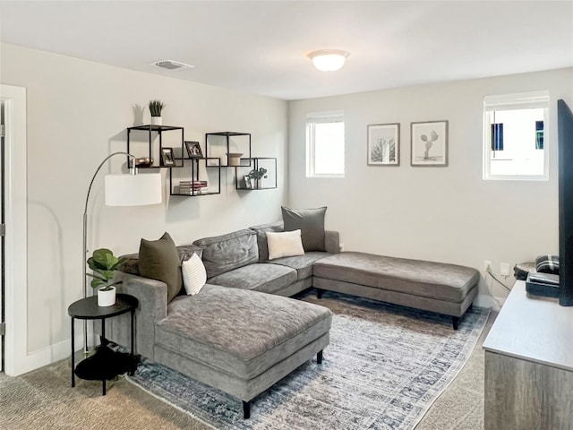 living room featuring carpet floors