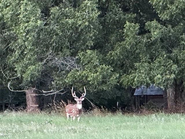 view of nature