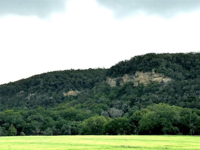 property view of mountains with a rural view