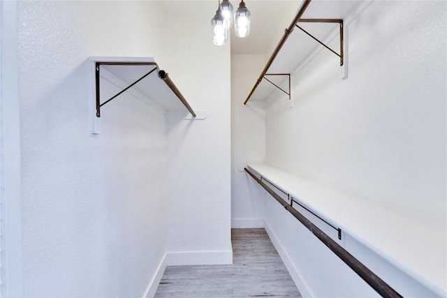 314 Saxon Ln, Austin, TX 78741 - walk in closet with light wood-style flooring