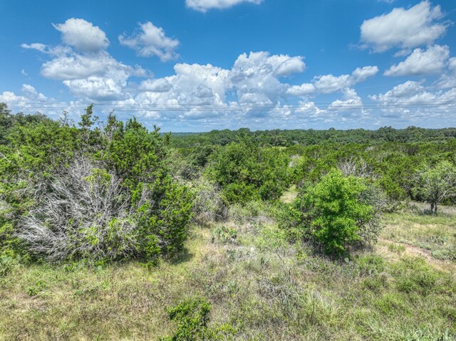 1351 Purgatory Rd, New Braunfels, TX 78132