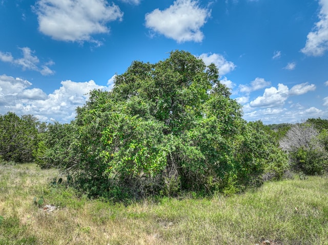 1351 Purgatory Rd, New Braunfels, TX 78132