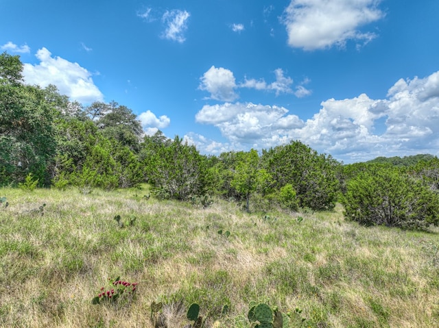 1351 Purgatory Rd, New Braunfels, TX 78132