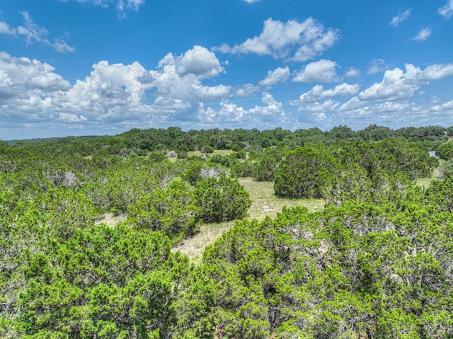 1351 Purgatory Rd, New Braunfels, TX 78132