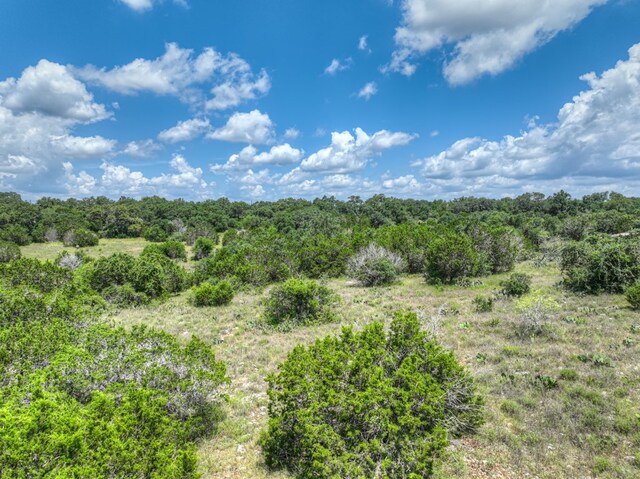 1351 Purgatory Rd, New Braunfels, TX 78132