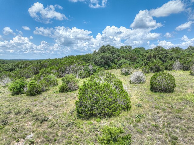 1351 Purgatory Rd, New Braunfels, TX 78132