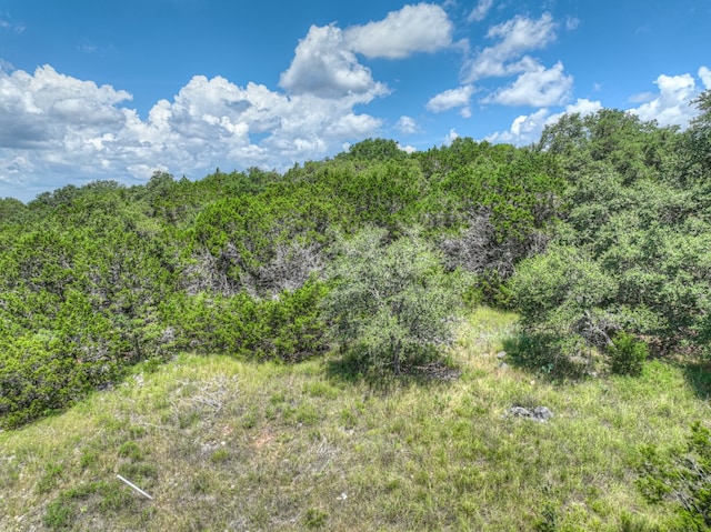 1351 Purgatory Rd, New Braunfels, TX 78132