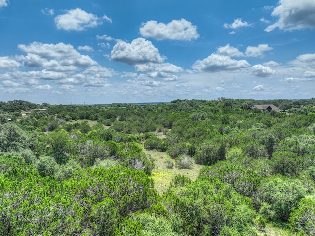 1351 Purgatory Rd, New Braunfels, TX 78132