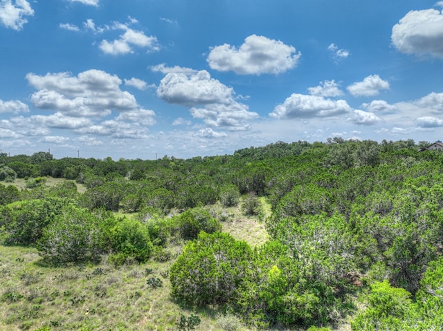 1351 Purgatory Rd, New Braunfels, TX 78132