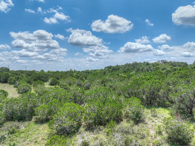 1351 Purgatory Rd, New Braunfels, TX 78132