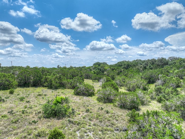1351 Purgatory Rd, New Braunfels, TX 78132