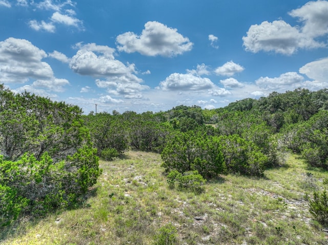 1351 Purgatory Rd, New Braunfels, TX 78132