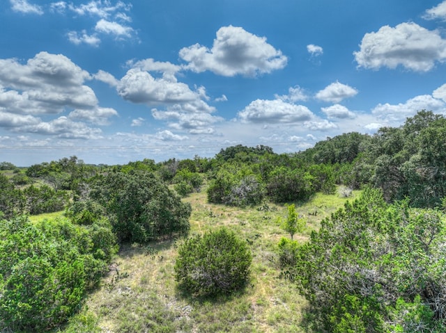 1351 Purgatory Rd, New Braunfels, TX 78132