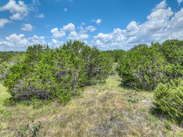 1351 Purgatory Rd, New Braunfels, TX 78132