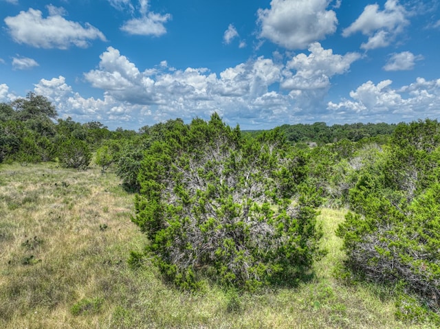 1351 Purgatory Rd, New Braunfels, TX 78132