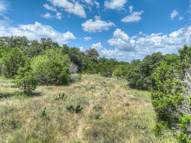 1351 Purgatory Rd, New Braunfels, TX 78132