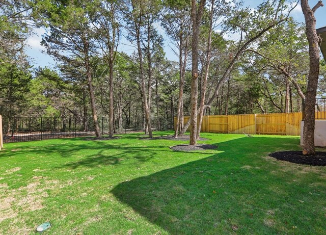 151 William Hersee Dr, Bastrop, TX 78602 - view of yard