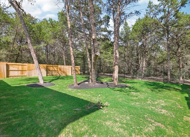 151 William Hersee Dr, Bastrop, TX 78602 - view of yard