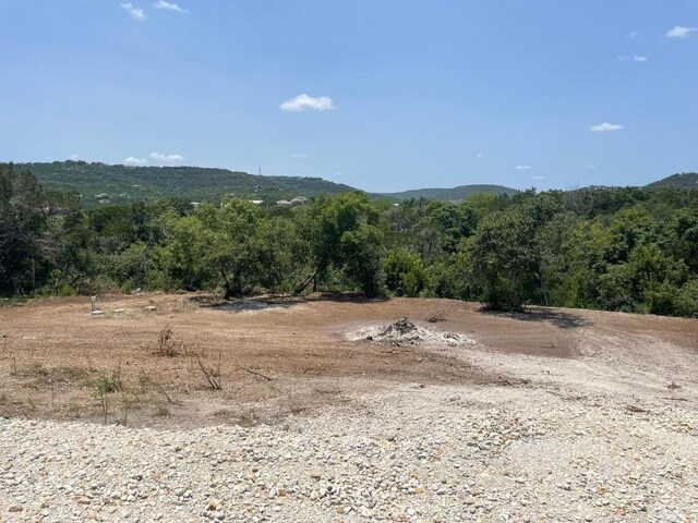 17519 E Darleen Dr, Leander, TX 78641