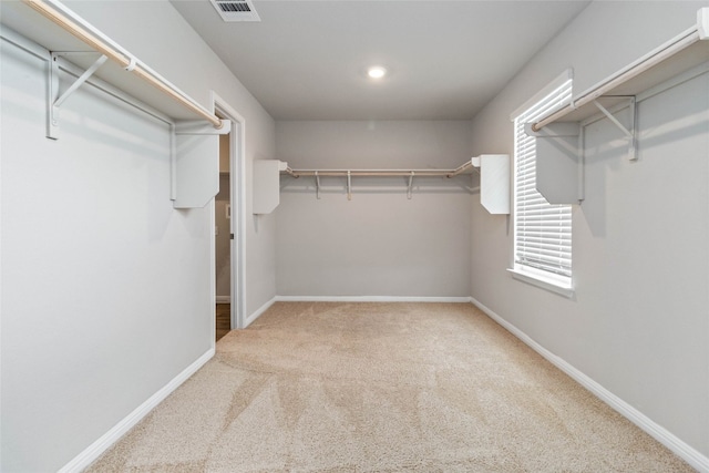 spacious closet with carpet