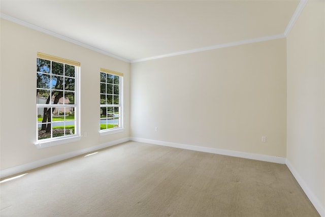 spare room with crown molding and carpet flooring