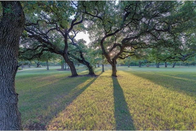 30201 Live Oak Trl, Georgetown, TX 78633 - photo 7